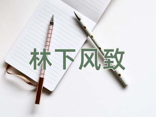 成语林下风致