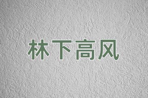 成语林下高风