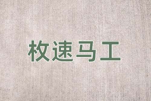 成语枚速马工