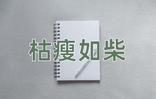 成语枯瘦如柴
