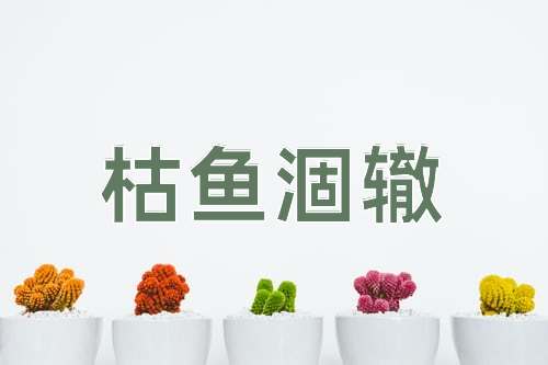 成语枯鱼涸辙