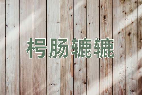 成语枵肠辘辘