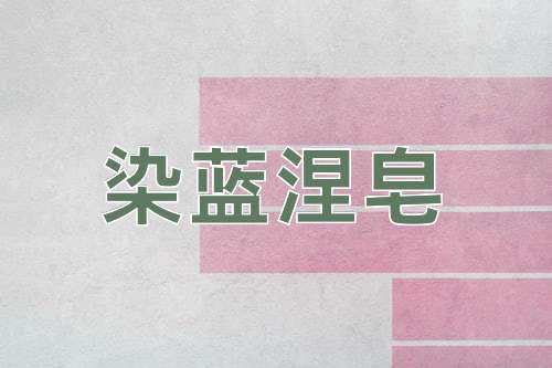 成语染蓝涅皂