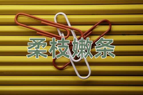 成语柔枝嫩条