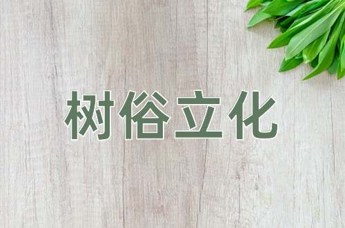 成语树俗立化