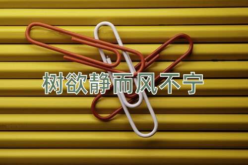 成语树欲静而风不宁
