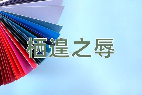 成语栖遑之辱