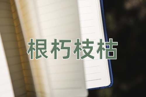 成语根朽枝枯