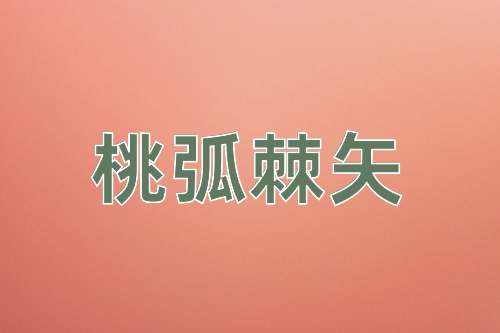 成语桃弧棘矢