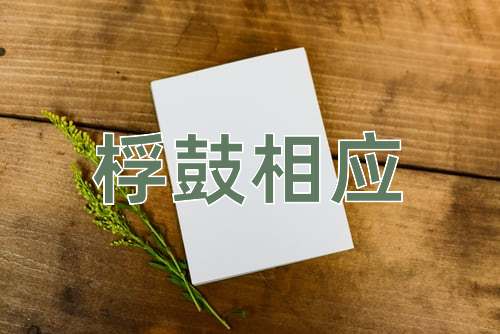 成语桴鼓相应