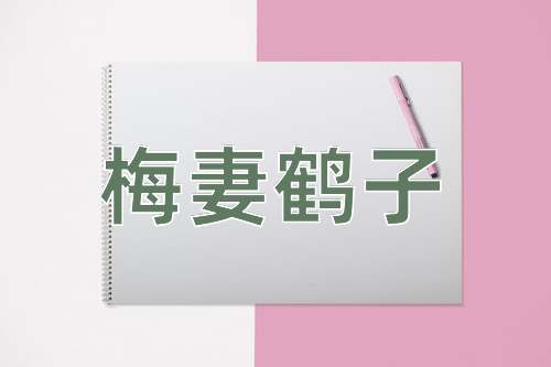 成语梅妻鹤子