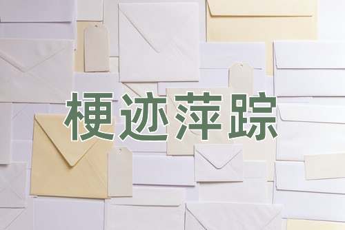成语梗迹萍踪