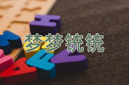 成语梦梦铳铳