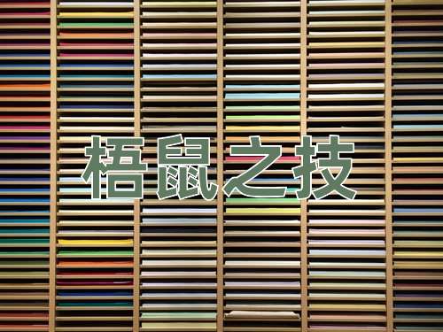 成语梧鼠之技