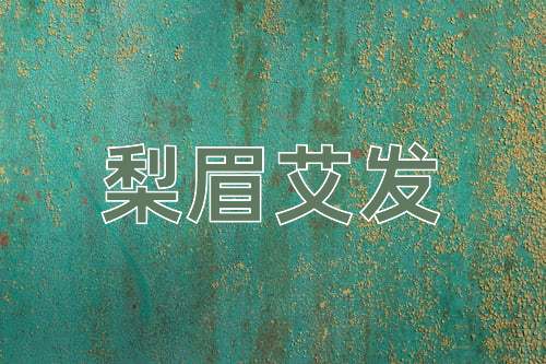 成语梨眉艾发