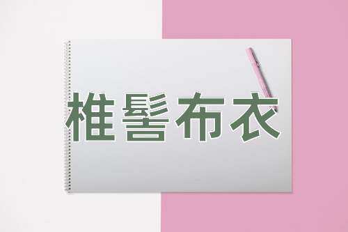 成语椎髻布衣