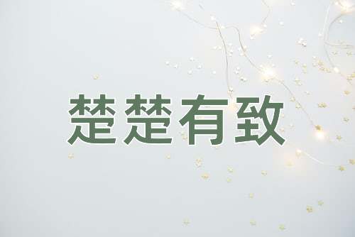 成语楚楚有致