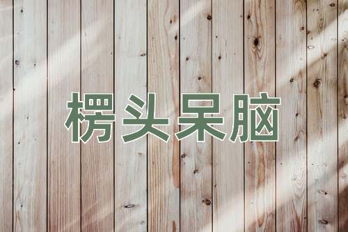 成语楞头呆脑