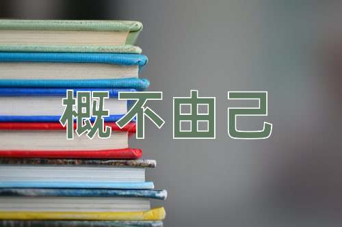 成语概不由己