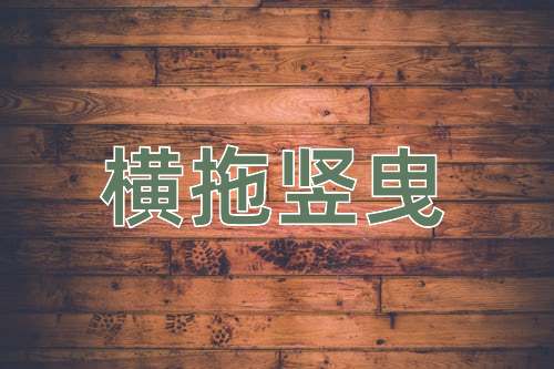 成语横拖竖曳