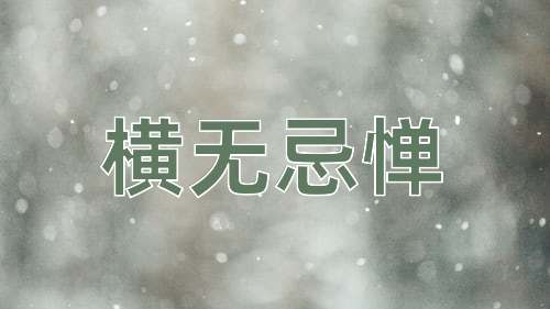 成语横无忌惮