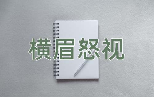 成语横眉怒视