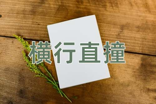 成语横行直撞