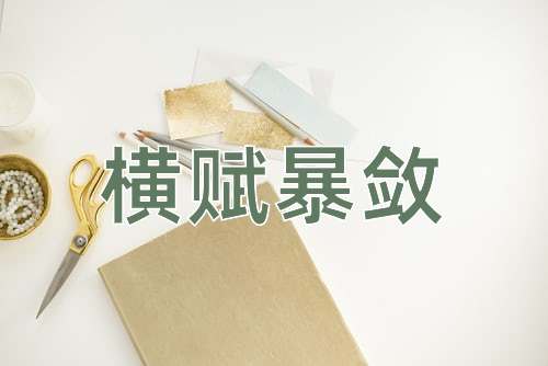 成语横赋暴敛