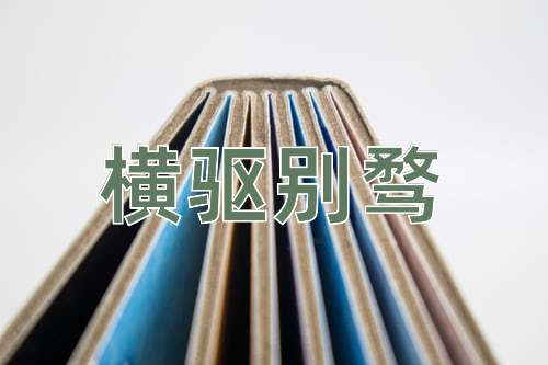 成语横驱别骛
