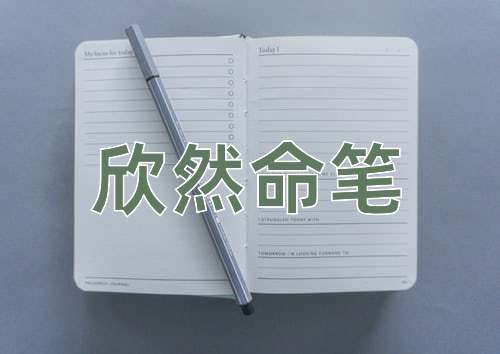 成语欣然命笔