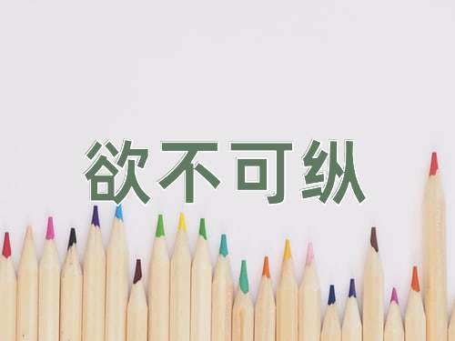 成语欲不可纵