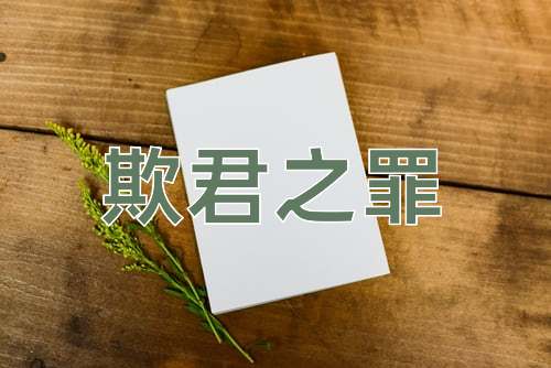 成语欺君之罪