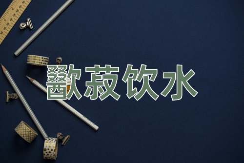 成语歠菽饮水