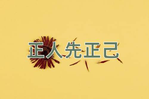 成语正人先正己