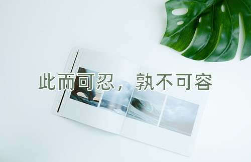 成语此而可忍，孰不可容