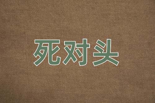 成语死对头