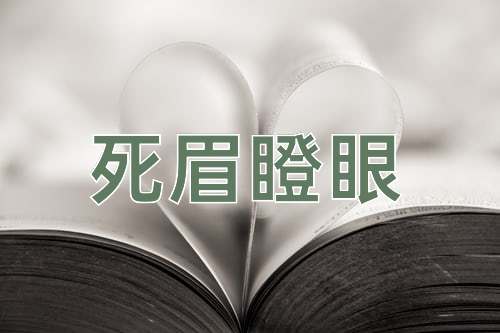 成语死眉瞪眼