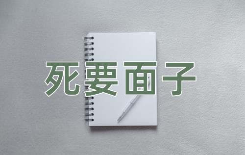 成语死要面子