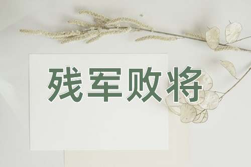 成语残军败将