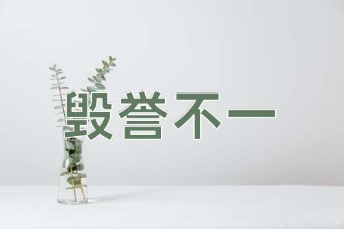 成语毁誉不一