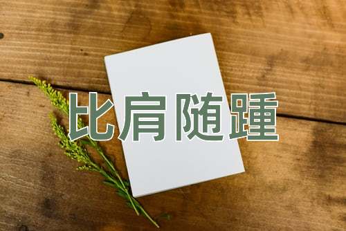 成语比肩随踵