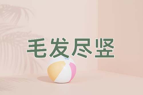 成语毛发尽竖
