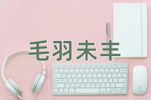 成语毛羽未丰