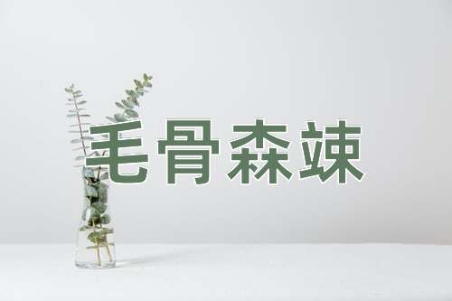 成语毛骨森竦