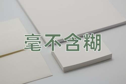 成语毫不含糊