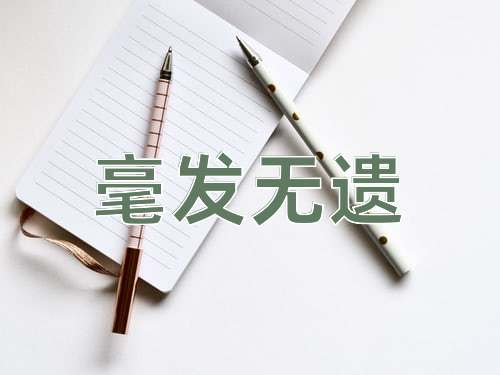 成语毫发无遗