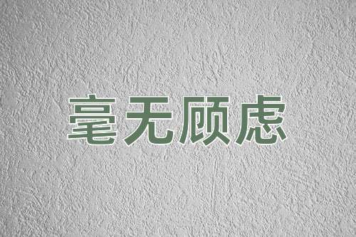 成语毫无顾虑