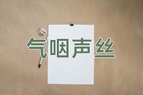 成语气咽声丝