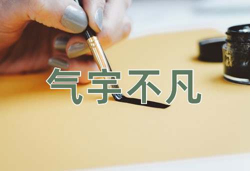 成语气宇不凡