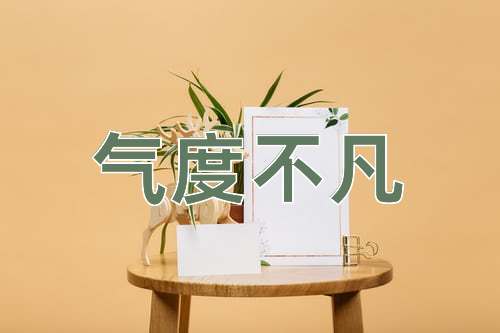 成语气度不凡